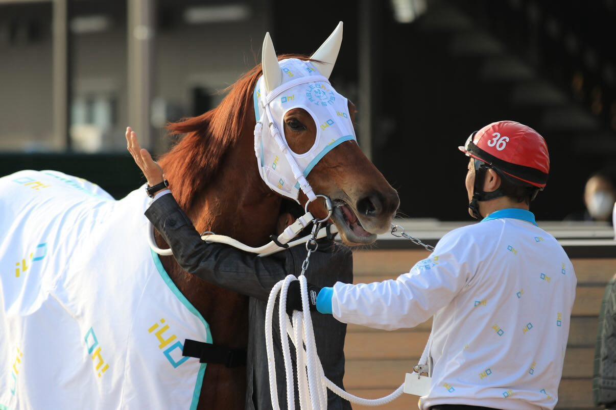 船橋競馬大津剛厩のキャラメルスライムが参加しました！の1枚目画像