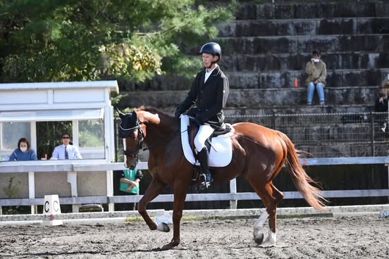 美浦ホースクラブ のラファル、ノッキングポイントが参加しました！の1枚目画像