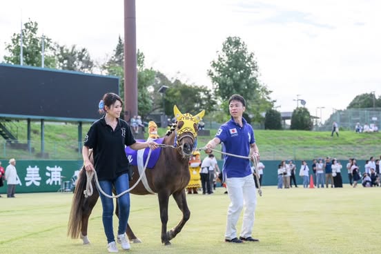美浦ホースクラブ のラファル、ノッキングポイントが参加しました！の2枚目画像