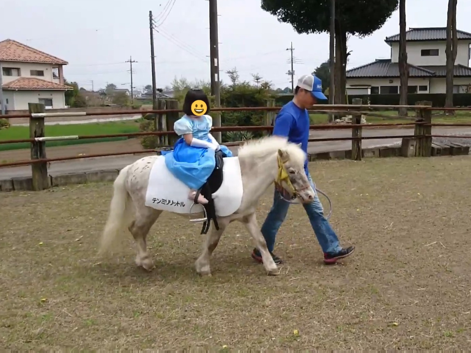 ちびうま団の2頭のお馬さんが参加しました。の1枚目画像