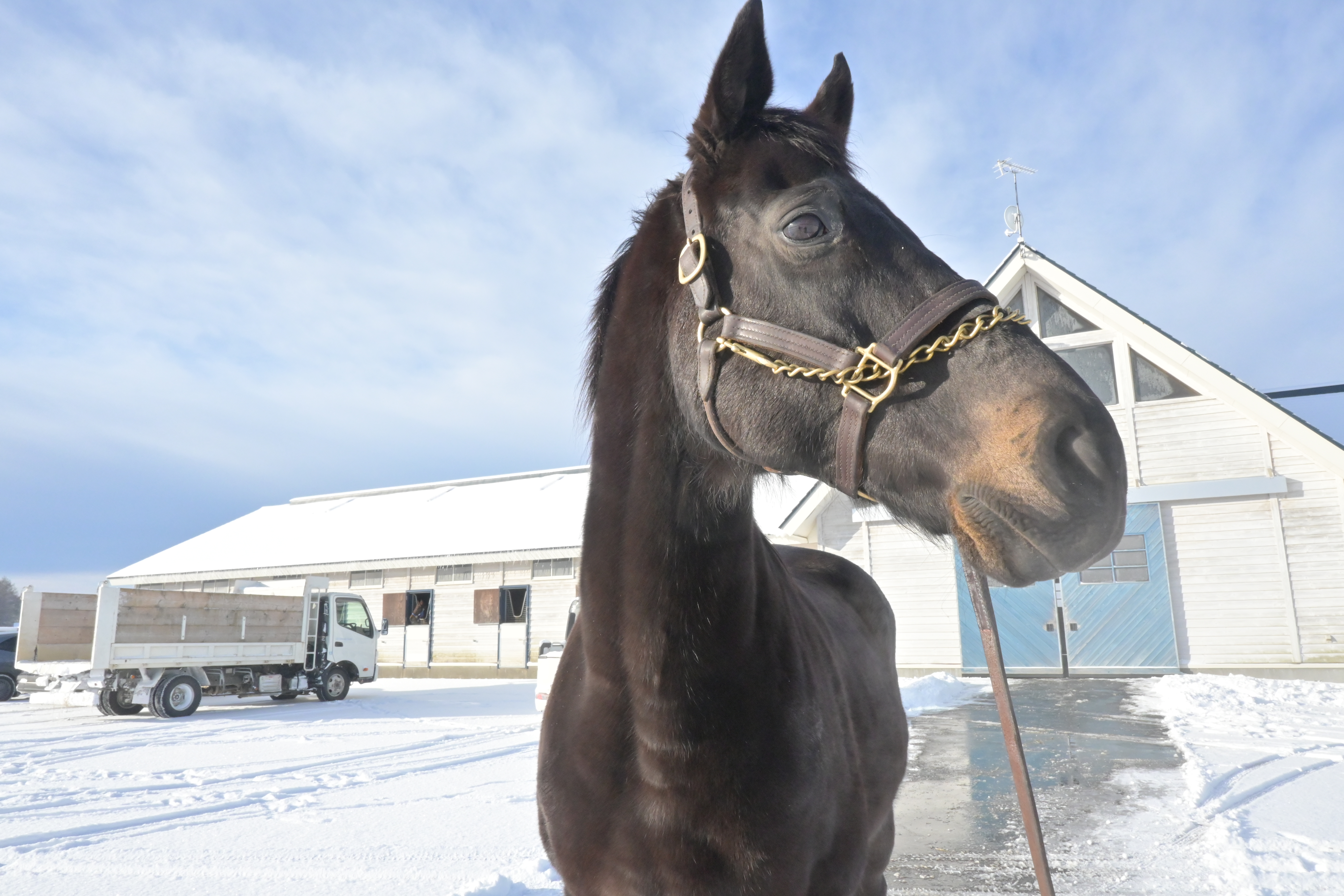 2月『うまのおやつ』を贈っていただいた皆様、ありがとうございました！の1枚目画像