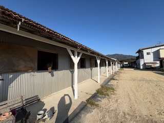 RYOMAステーブル　7頭のお馬さんがうまぷれに参加しましたの1枚目画像