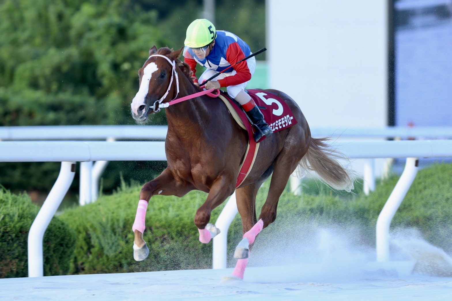 3月『うまのおやつ』を贈っていただいた皆様、ありがとうございました！の3枚目画像