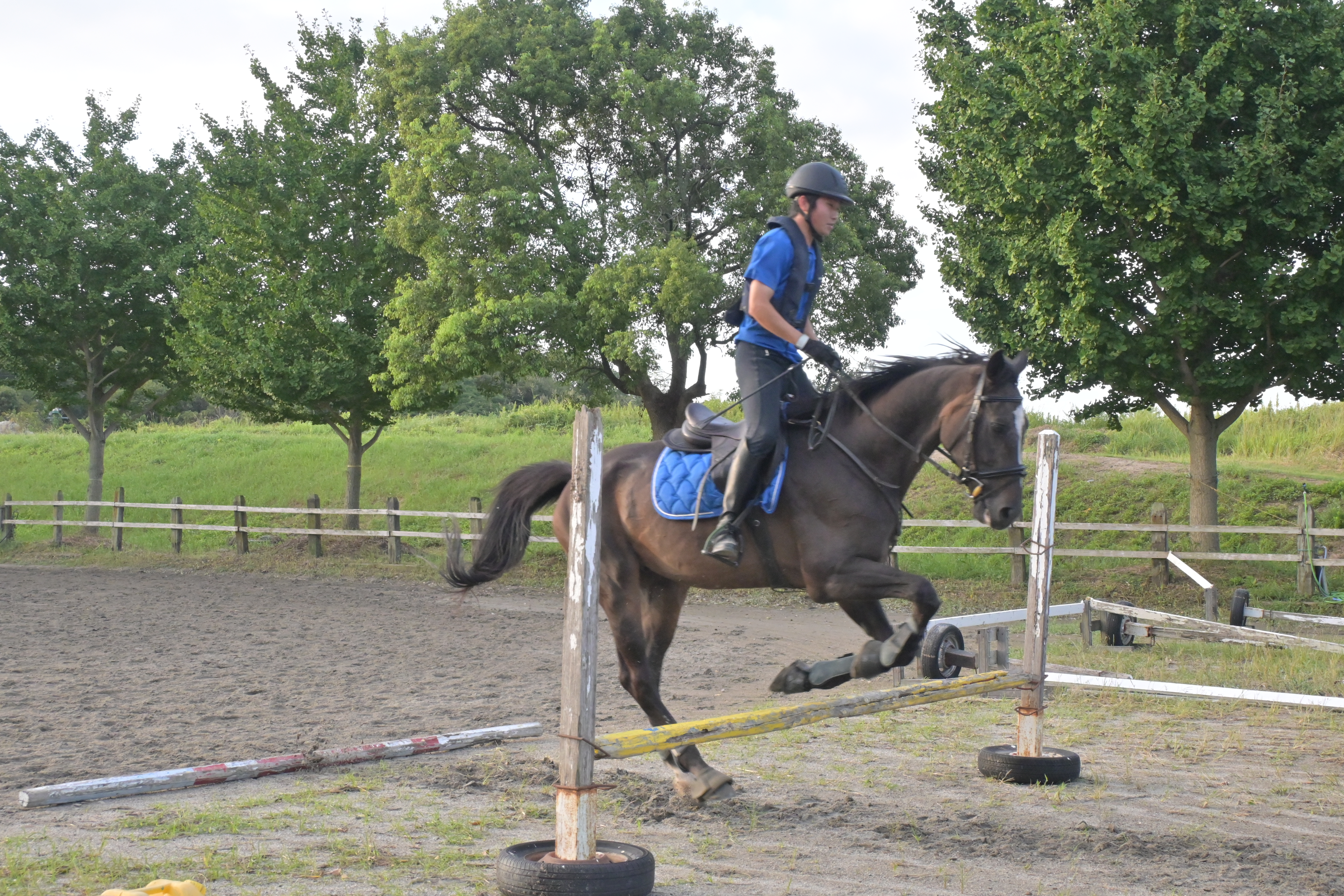 3月『うまのおやつ』を贈っていただいた皆様、ありがとうございました！の5枚目画像