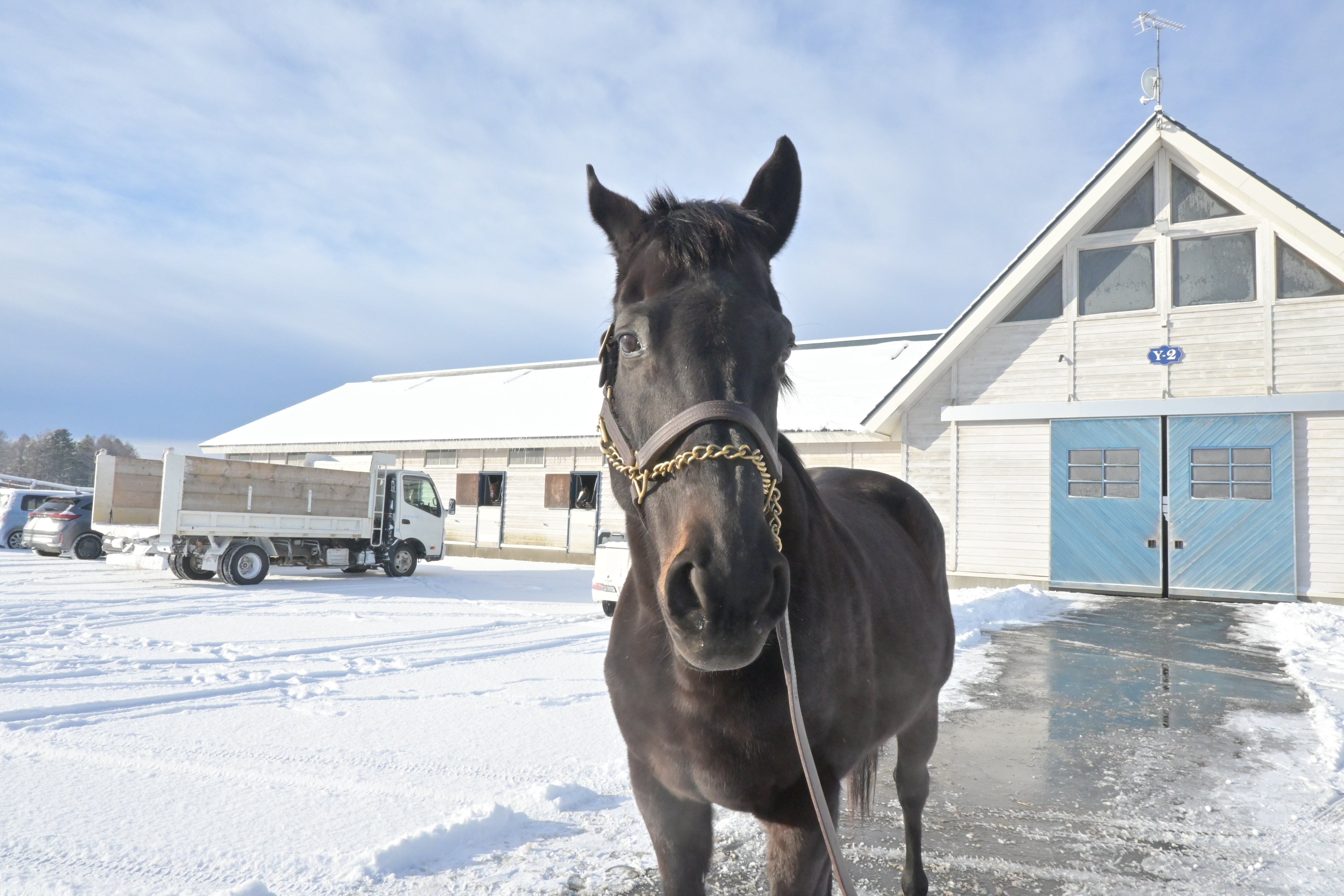 3月『うまのおやつ』を贈っていただいた皆様、ありがとうございました！の2枚目画像