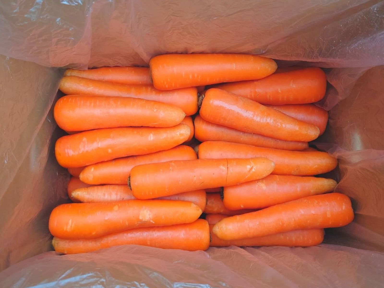 有限会社ゆうふぁーむ様がうまぷれ。に参加されましたの4枚目画像