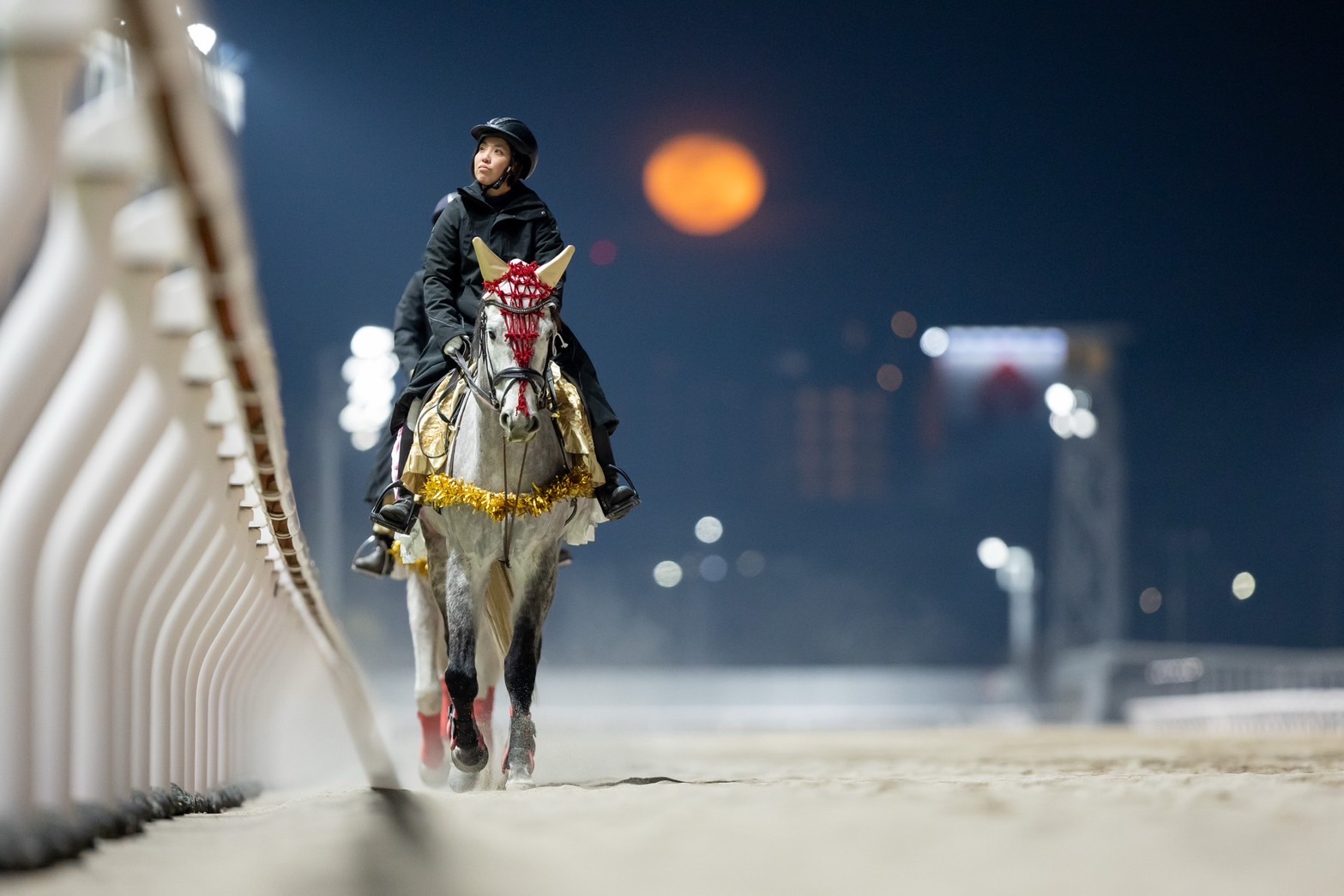 秦野国際乗馬クラブのお馬さん6頭がうまぷれ。に参加しましたの1枚目画像