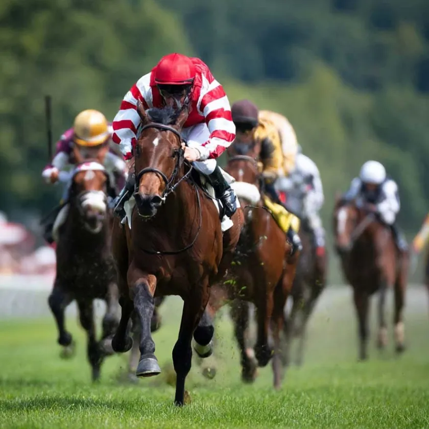 競馬のイメージ