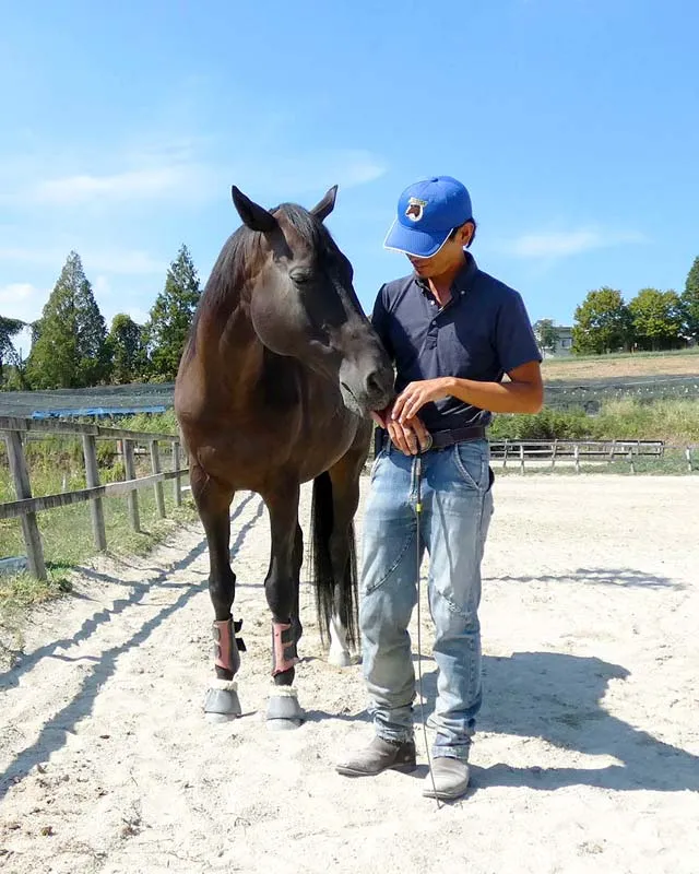 馬と施設スタッフのイメージ